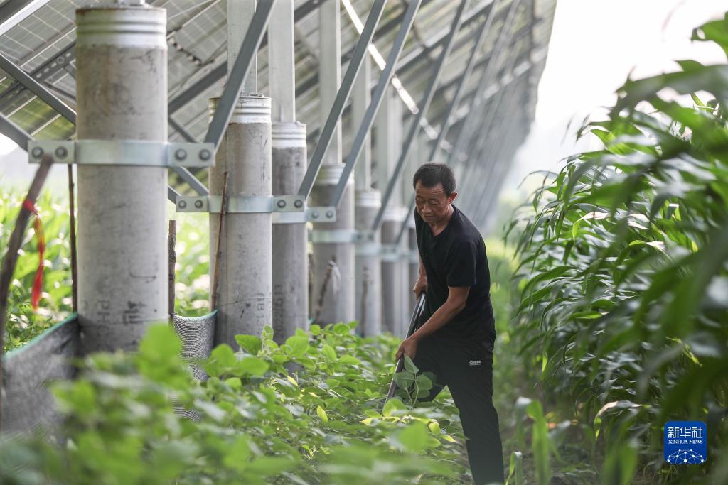 公司在线开户